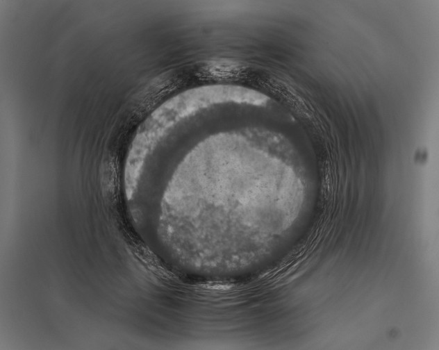 X0000097600651200803280952