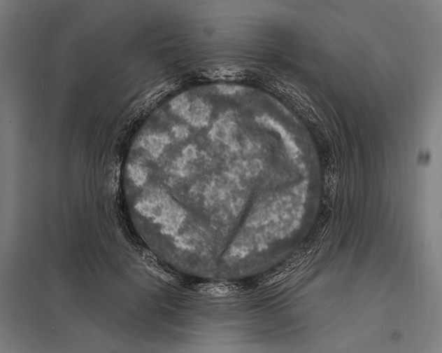 X0000097600652200803280952