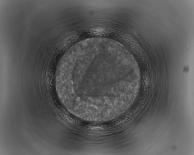 X0000097600653200803280952