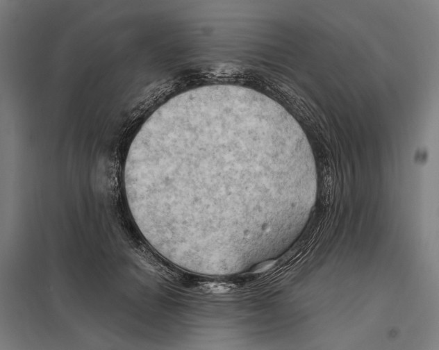 X0000097600654200803280952