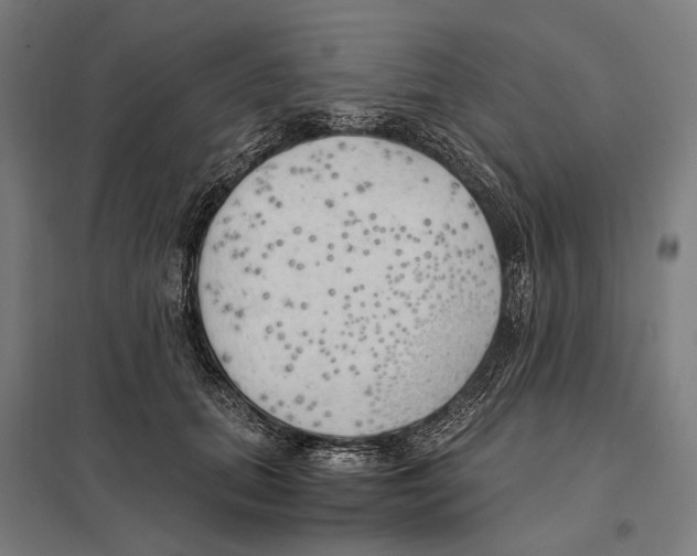 X0000097600655200803280952