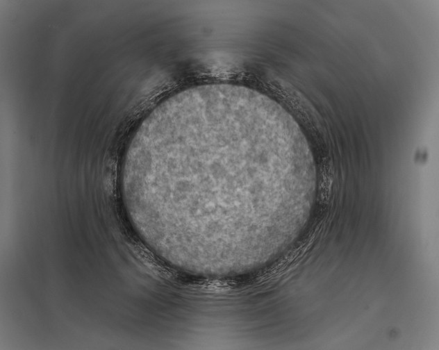 X0000097600656200803280952