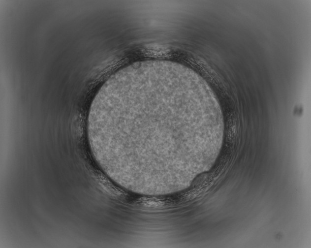 X0000097600658200803280952