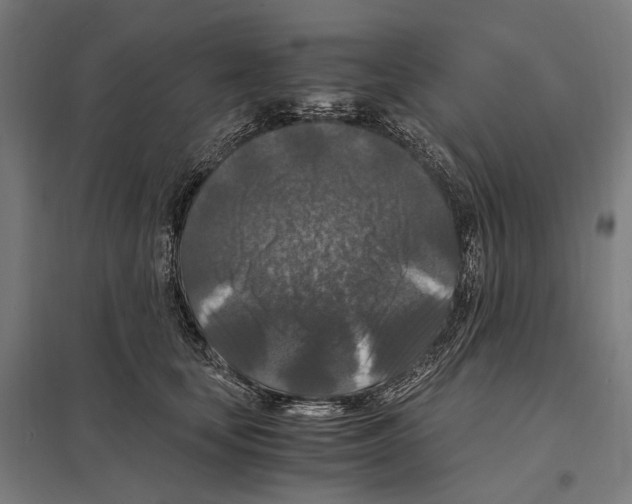 X0000097600659200803280952