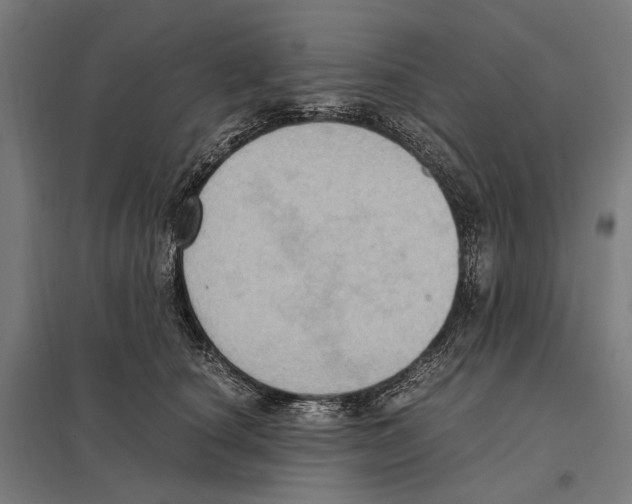 X0000097600660200803280952