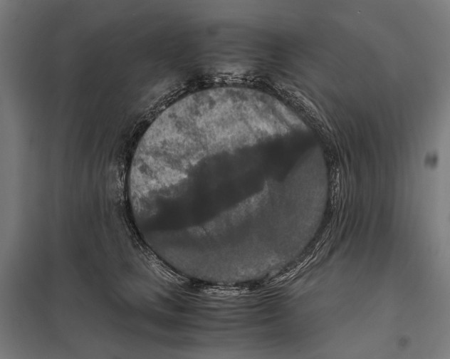 X0000097600661200803280952