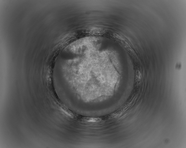 X0000097600663200803280952