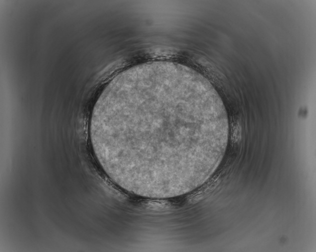 X0000097600666200803280952