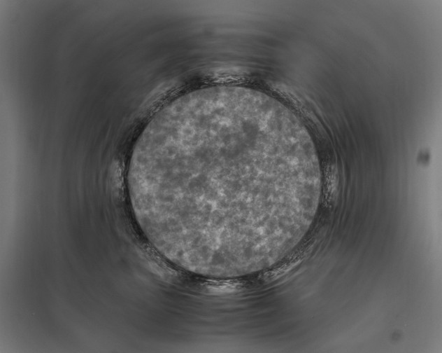 X0000097600667200803280952