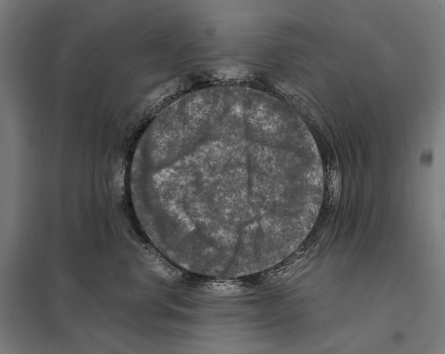 X0000097600668200803280952