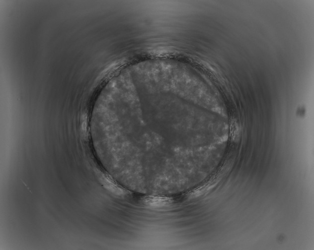 X0000097600670200803280952