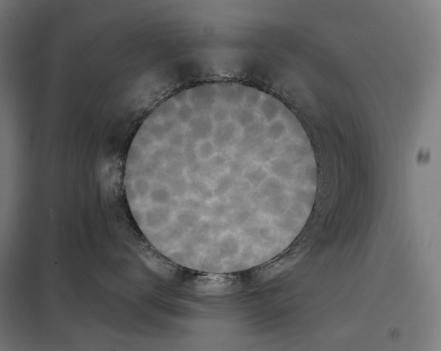 X0000097600672200803280952