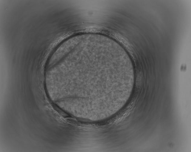 X0000097600673200803280951