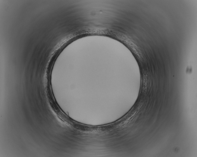 X0000097600674200803280951