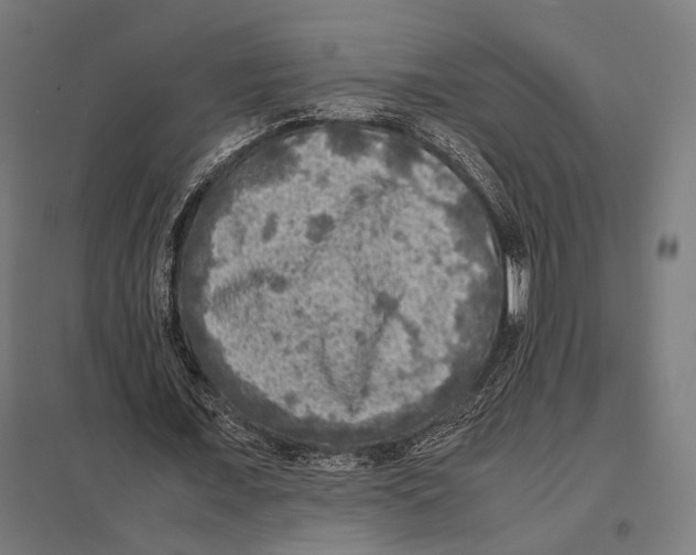 X0000097600675200803280951