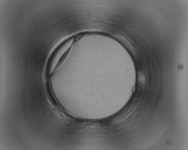 X0000097600676200803280951