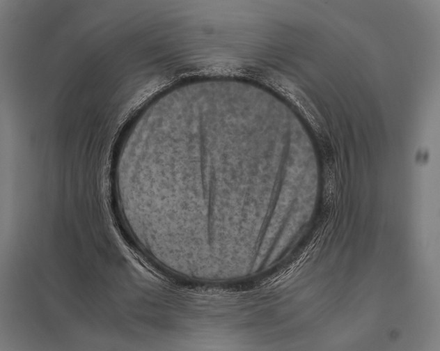 X0000097600677200803280951