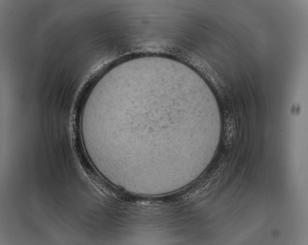 X0000097600680200803280951