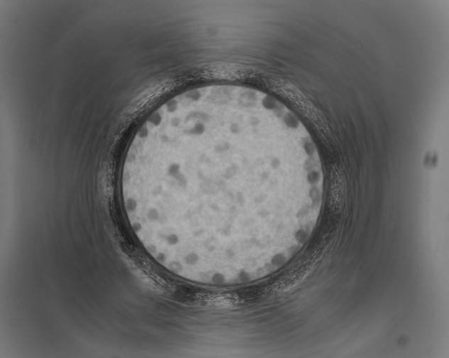 X0000097600683200803280951