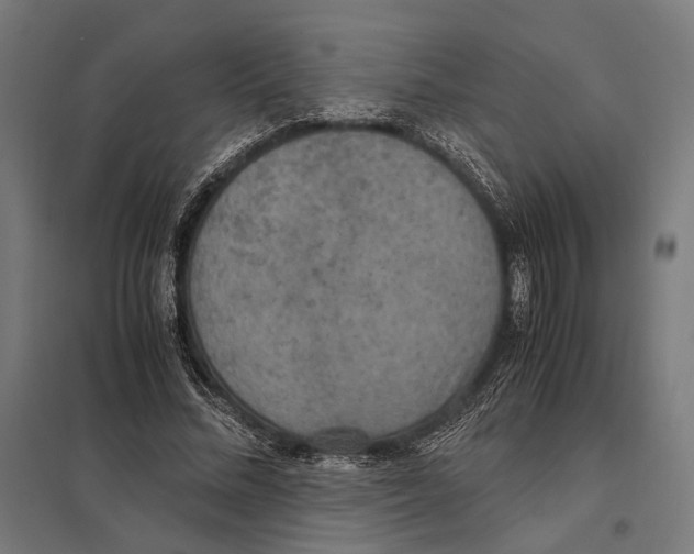 X0000097600684200803280951