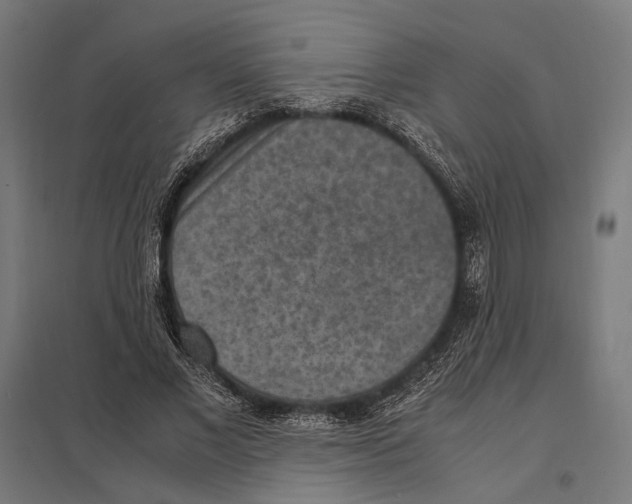 X0000097600685200803280951