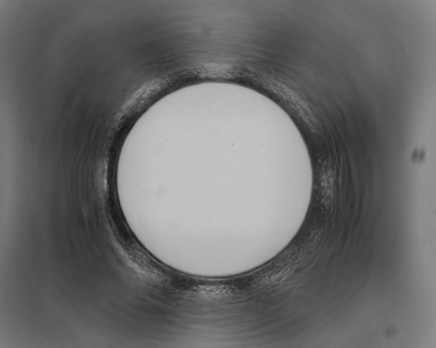 X0000097600686200803280951