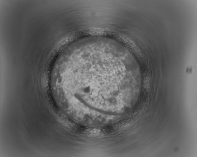 X0000097600687200803280951