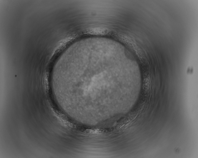 X0000097600688200803280951