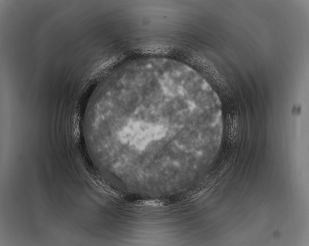 X0000097600692200803280951