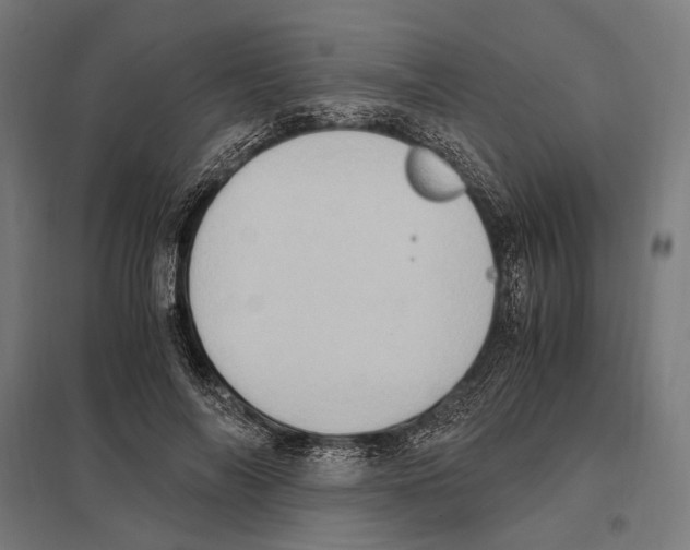 X0000097600694200803280951