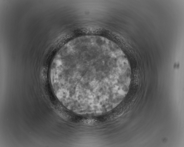 X0000097600695200803280951