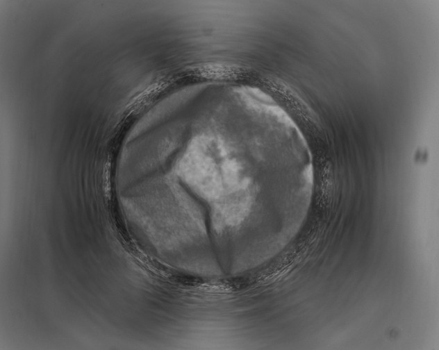 X0000097600696200803280951