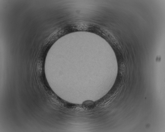 X0000097600697200803280951