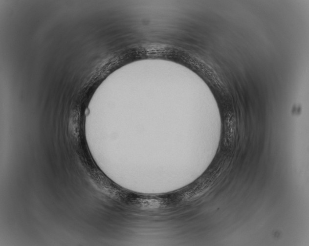 X0000097600698200803280951