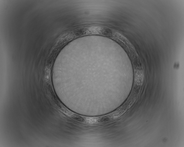 X0000097600701200803280951