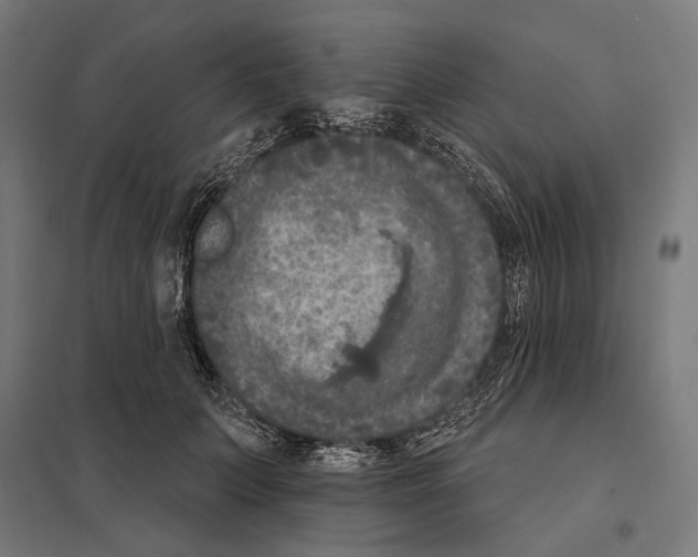 X0000097600703200803280951