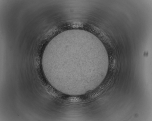 X0000097600704200803280951