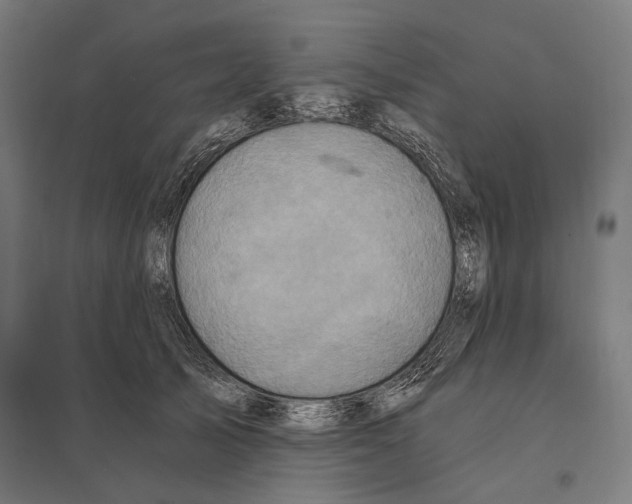 X0000097600705200803280951