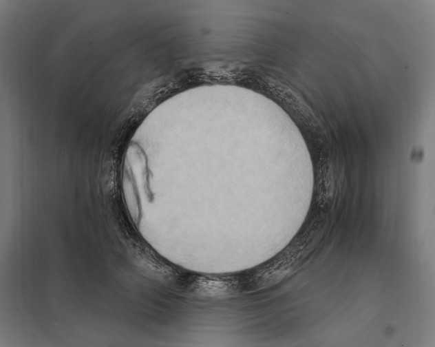 X0000097600706200803280951