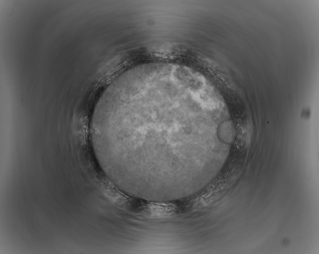 X0000097600707200803280951