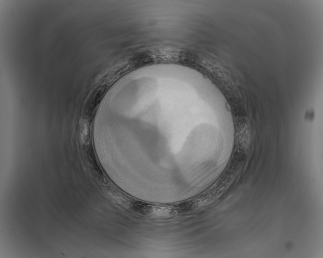 X0000097600709200803280951