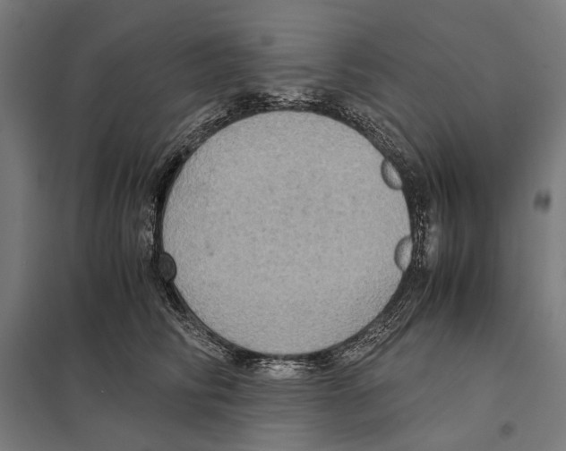 X0000097600710200803280951