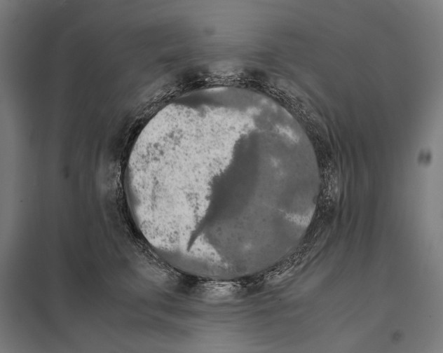 X0000097600711200803280951