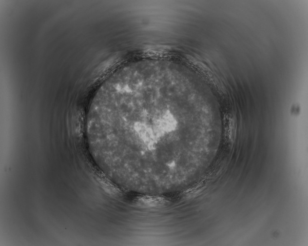 X0000097600712200803280951