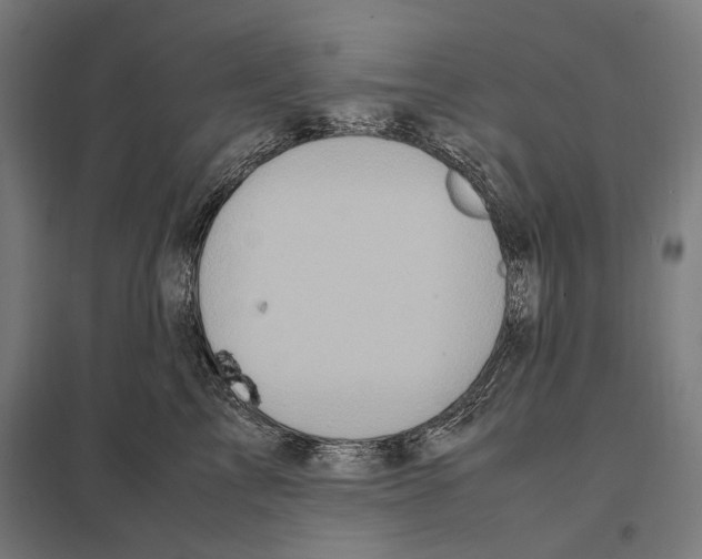 X0000097600713200803280951