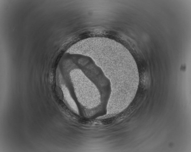 X0000097600715200803280951