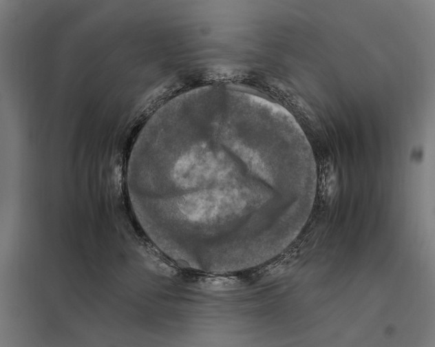 X0000097600716200803280951