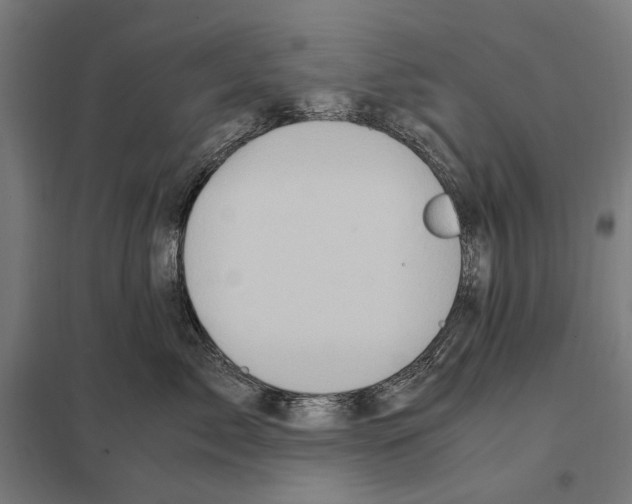 X0000097600717200803280951