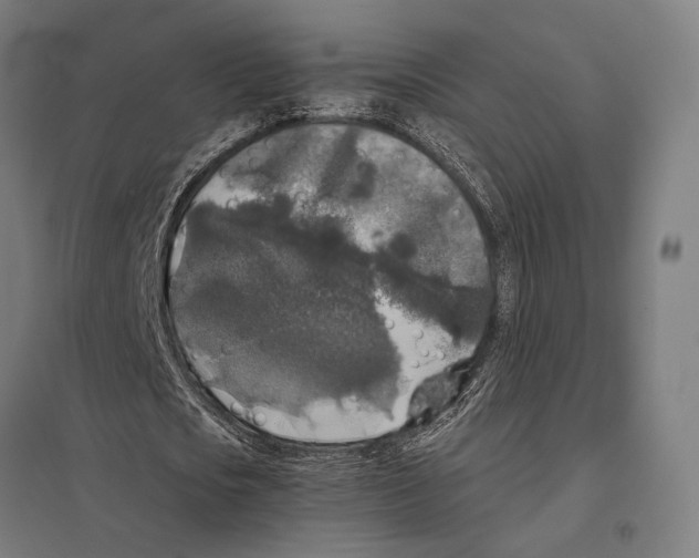 X0000097600721200803280950