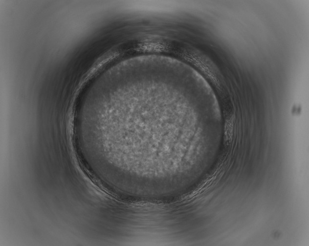 X0000097600722200803280950